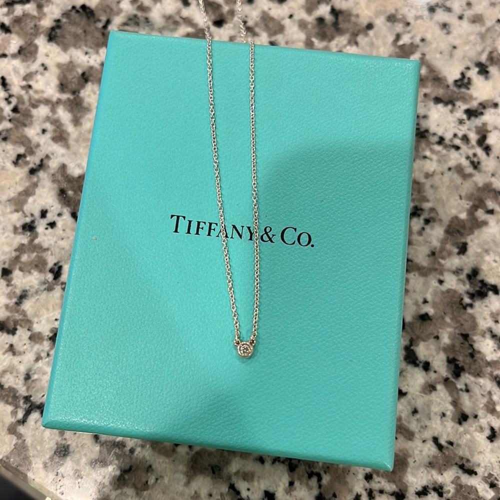 Tiffany & Co. Diamonds by the Yard Pendant Necklace